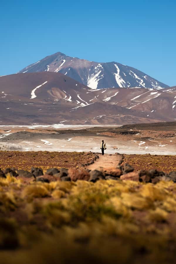San Pedro de Atacama: Red Rocks & Altiplano Lagoons Day Trip - A lunch break in the high desert