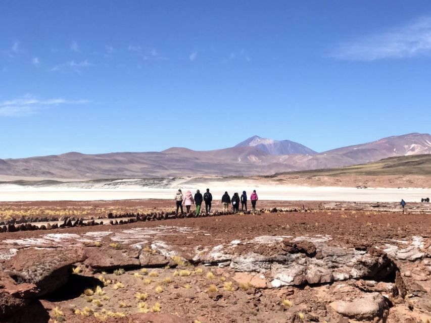 San Pedro de Atacama: Red Rocks & Altiplano Lagoons Day Trip - Miscanti and Miñiques, the high Altiplano lagoons