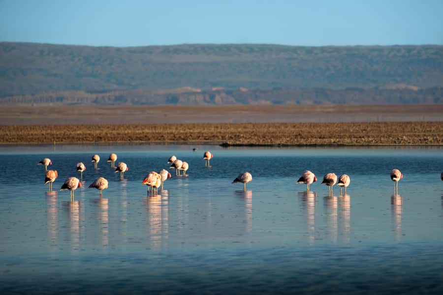 San Pedro de Atacama: Red Rocks & Altiplano Lagoons Day Trip - Socaire gives the day a human touch
