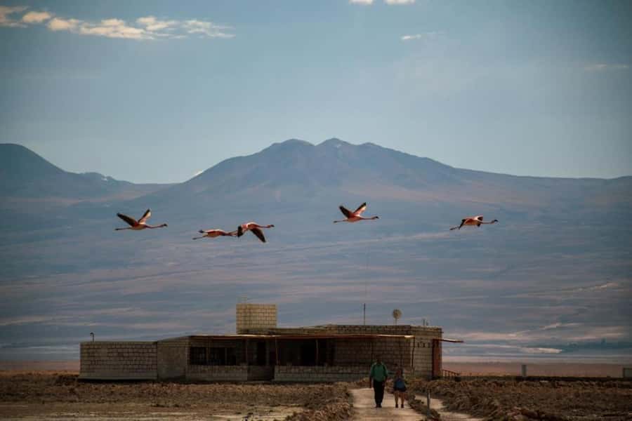 San Pedro de Atacama: Red Rocks and Aliplanic Lagoons - Key points to know before booking