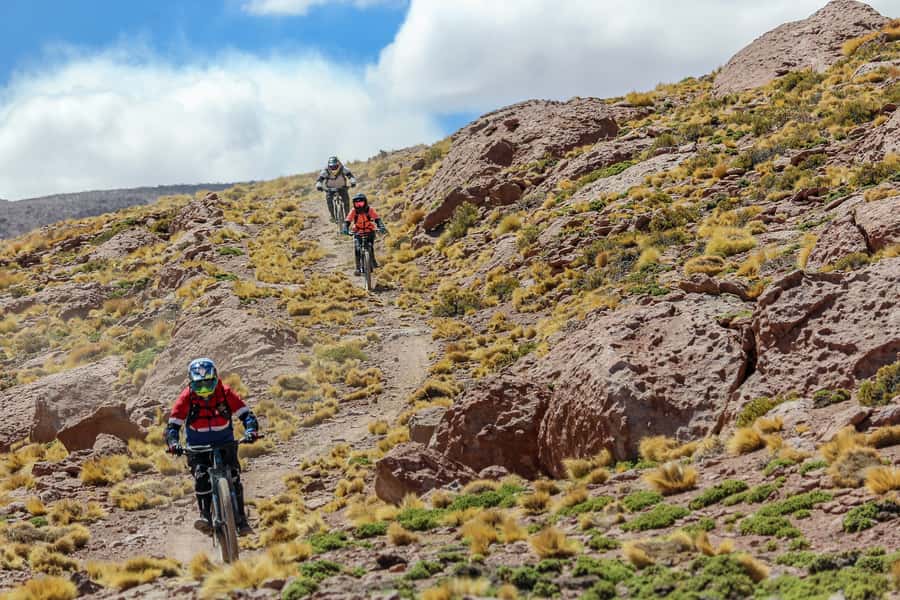 San Pedro de Atacama: Volcano Downhill Bike Tour - Who should book this ride