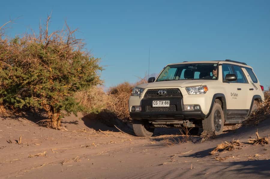 San Pedro de Atacama: Wildlife Safari and Photography Tour - Photography help for beginners and experienced shooters