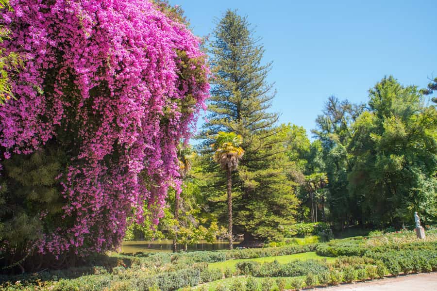 Santa Rita: Tour + Premium Wine Tasting + Private Transport - Key Points to Know Before You Book