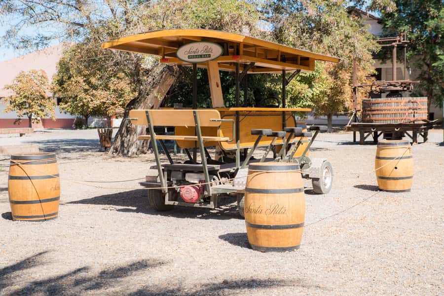 Santa Rita: Tour + Premium Wine Tasting + Private Transport - The Andean Museum Adds a Chilean Cultural Layer