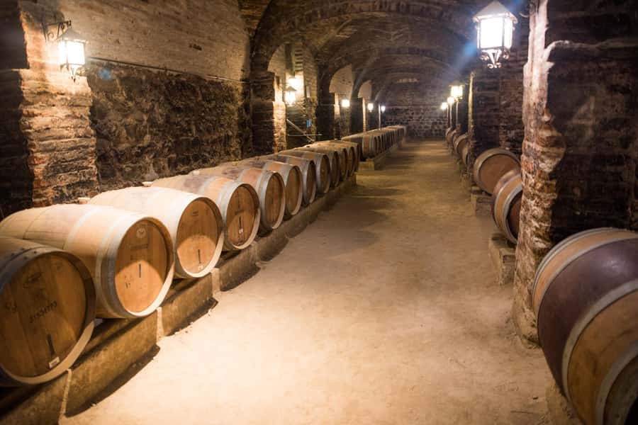 Santa Rita: Tour + Premium Wine Tasting + Private Transport - The Private Pickup Makes the Day Easier