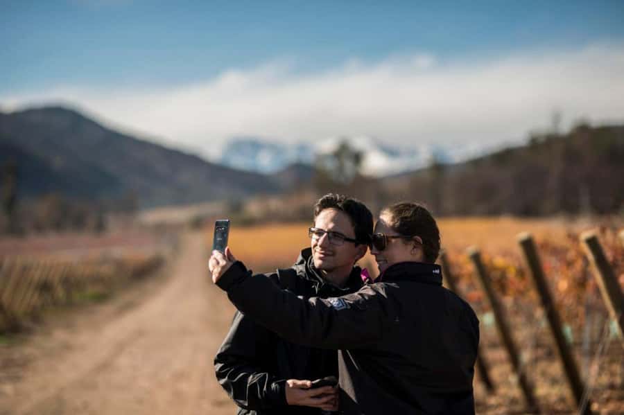 Santa Rita Vineyard Tour: History, Wine, and Outdoor Picnic - Santa Rita makes wine country easy from Santiago