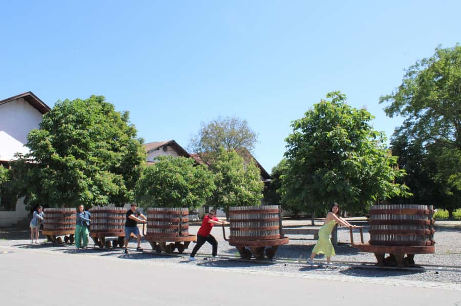 Santa Rita Vineyard Tour: History, Wine, and Outdoor Picnic - A 45-minute bike ride through the vines