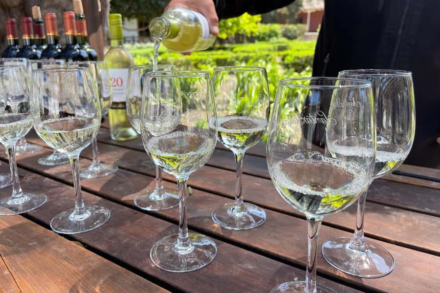 Santa Rita Vineyard Tour: History, Wine, and Outdoor Picnic - Is the $123 price a good value?