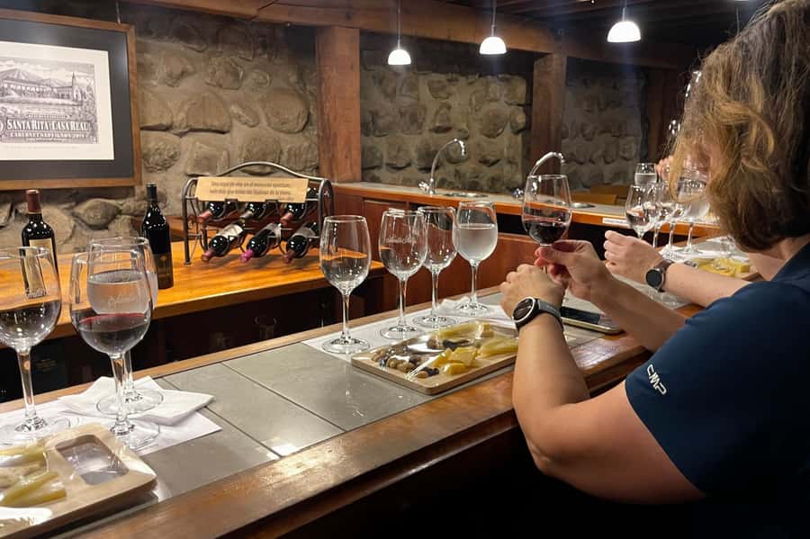 Santa Rita Vineyard Tour with Lunch, an Unforgettable Day! - Who will enjoy this Santa Rita tour