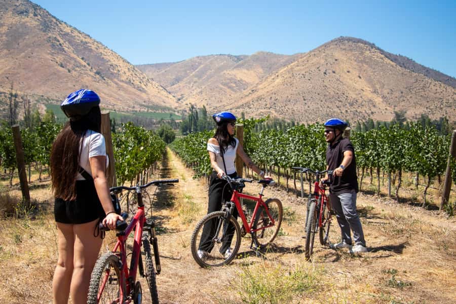 Santa Rita Vineyard Tour with Lunch, an Unforgettable Day! - Inside the 120 Patriots’ Cellar