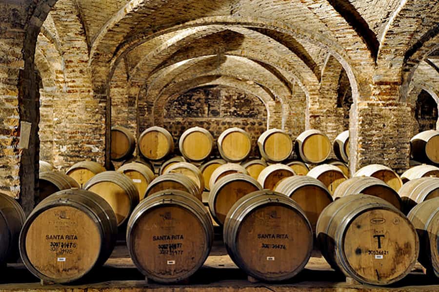 Santa Rita Vineyard Tour with Lunch, an Unforgettable Day! - What the three-wine tasting adds