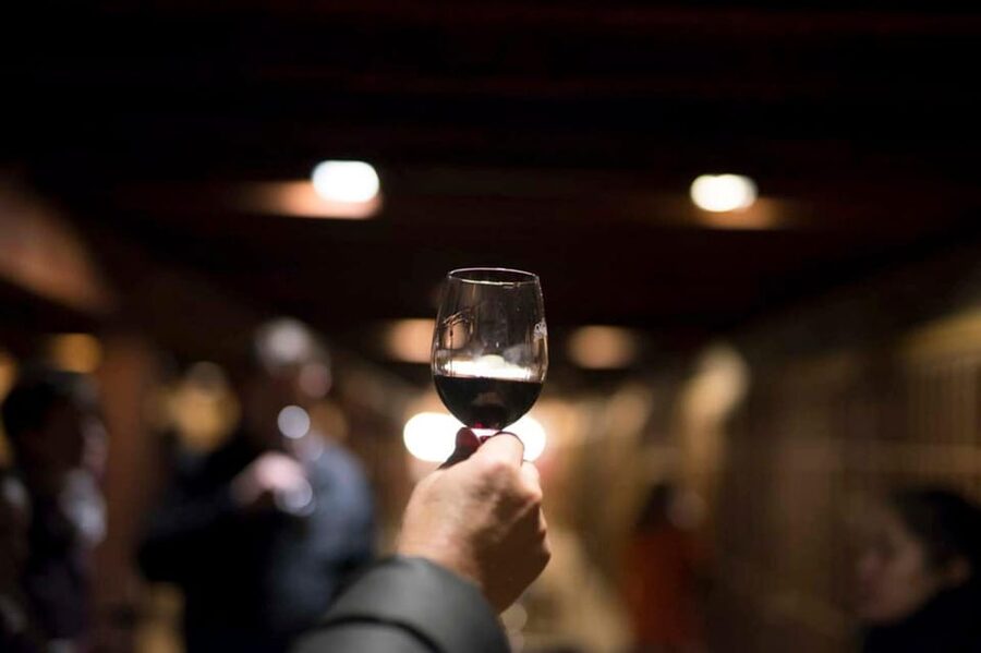 Santa Rita Vineyard Tour with Lunch, an Unforgettable Day! - The Andean Museum and its 3,000 artifacts