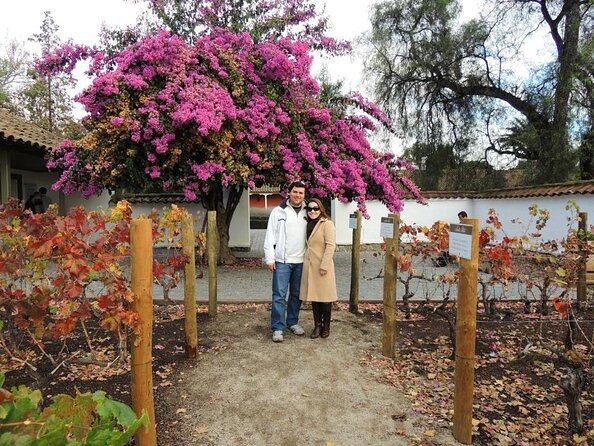 Santa Rita Winery Selection Tour - Key points to know before booking