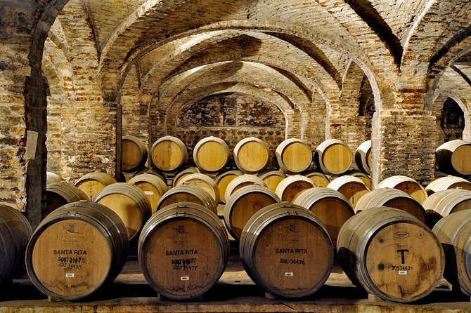 Santa Rita Winery Selection Tour - Santa Rita Winery in Alto Jahuel