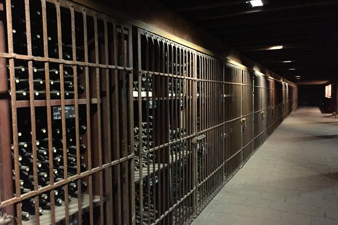 Santa Rita Winery Selection Tour - Who will enjoy this winery visit most?