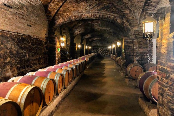 Santa Rita Winery Selection Tour - Should you book the Santa Rita Selection Tour?
