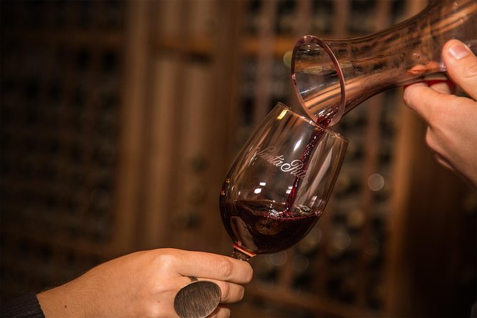 Santa Rita Winery Selection Tour - The three-wine tasting with cheese and crackers