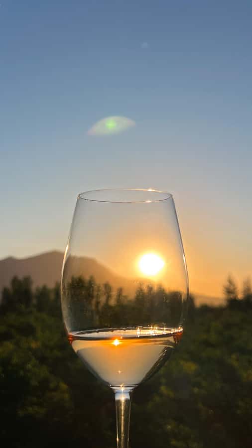Santiago: Alyan Winery Sunset with Wine Tastings and Dinner - Three or four wines in different settings