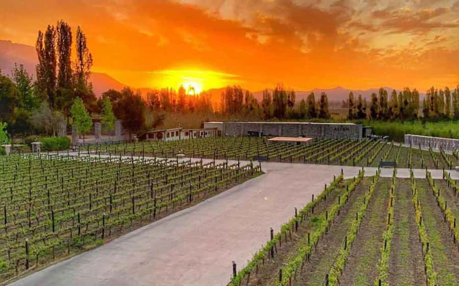 Santiago: Alyan Winery Sunset with Wine Tastings and Dinner - Sunset photos and the winery atmosphere