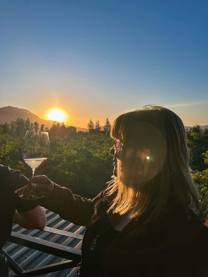 Santiago: Alyan Winery Sunset with Wine Tastings and Dinner - Who will enjoy this afternoon most