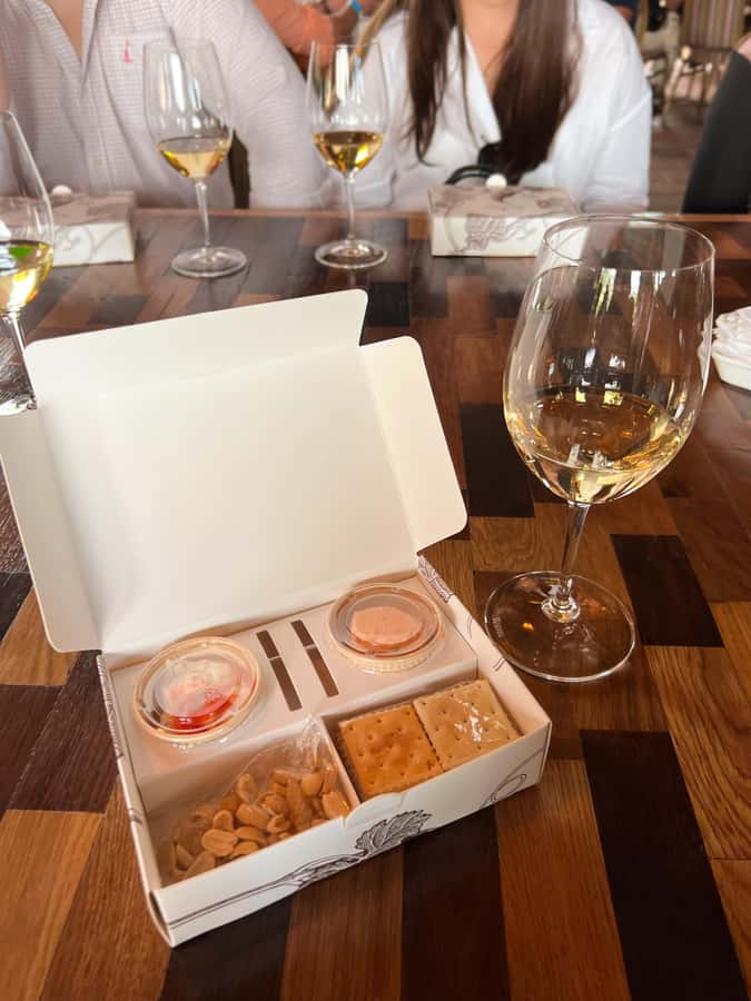 Santiago: Alyan Winery Sunset with Wine Tastings and Dinner - Practical planning for the best visit