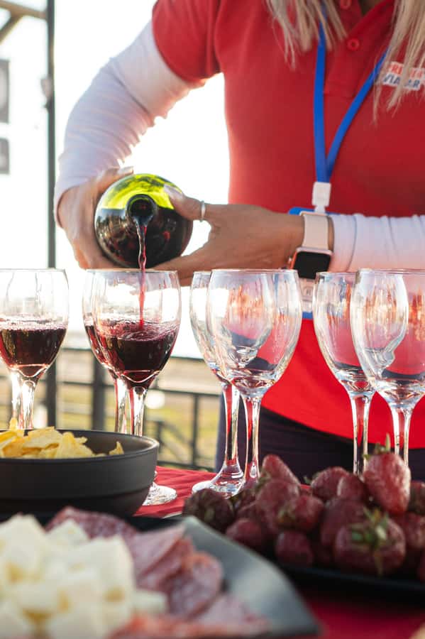 Santiago: Andes Mountains Sunset and Valle Nevado & Picnic - Key points to know before booking