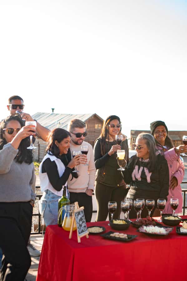 Santiago: Andes Mountains Sunset and Valle Nevado & Picnic - What the $41 price really covers