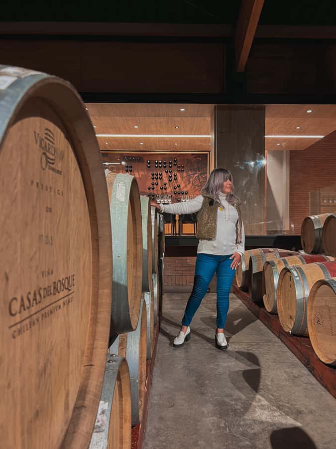 Santiago: Casa del Bosque Winery with Tasting and Lunch - Booking details worth checking