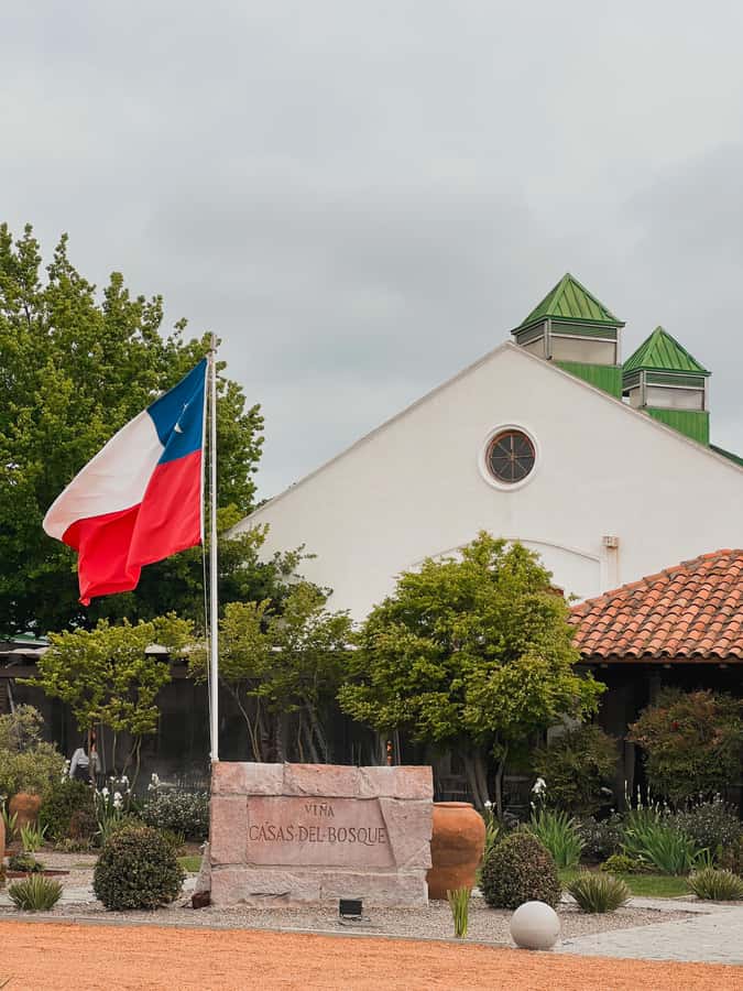 Santiago: Casa del Bosque Winery with Tasting and Lunch - Four pours in a proper tasting setting
