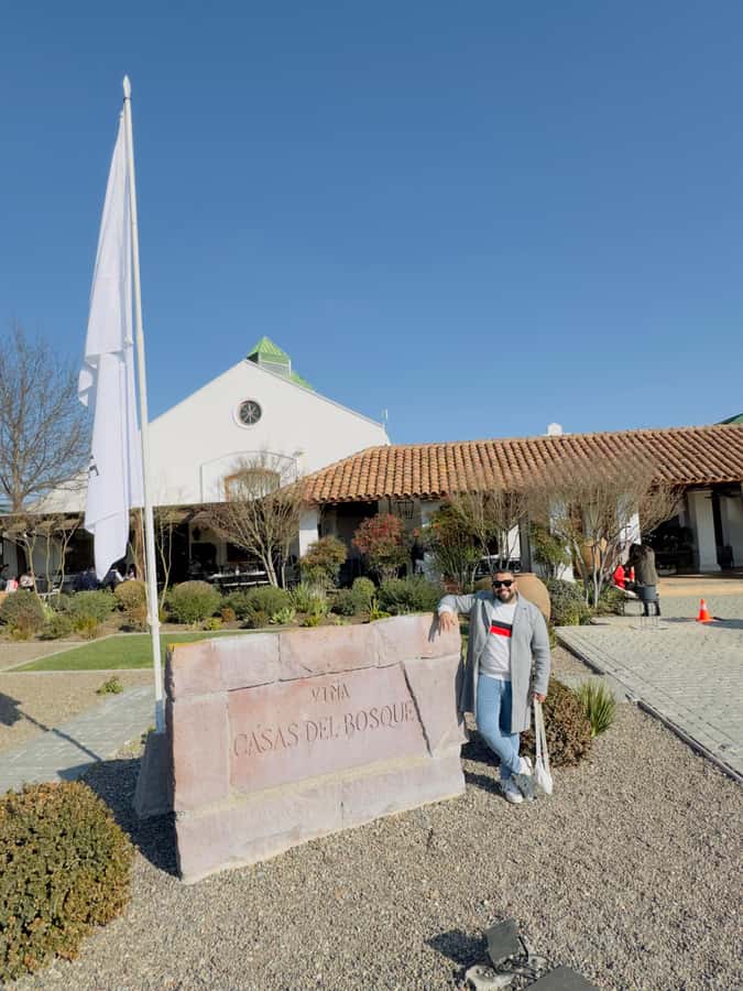 Santiago: Casa del Bosque Winery with Tasting and Lunch - Strengths and drawbacks at a glance