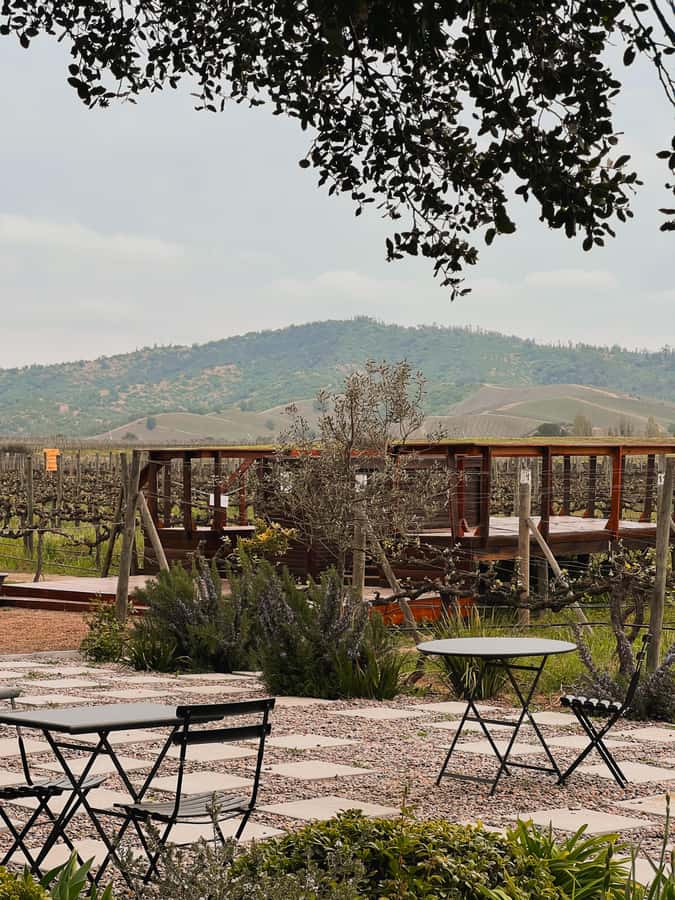 Santiago: Casa del Bosque Winery with Tasting and Lunch - Walking through the Casas del Bosque grounds