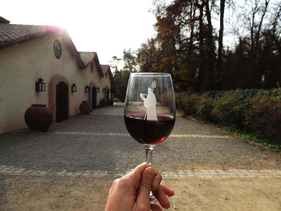 Santiago: Concha y Toro and Undurraga Vineyards Tour - Key points to know before booking