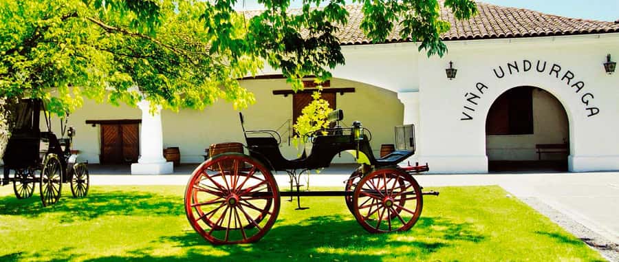 Santiago: Concha y Toro and Undurraga Vineyards Tour - Two classic wineries in the Maipo Valley