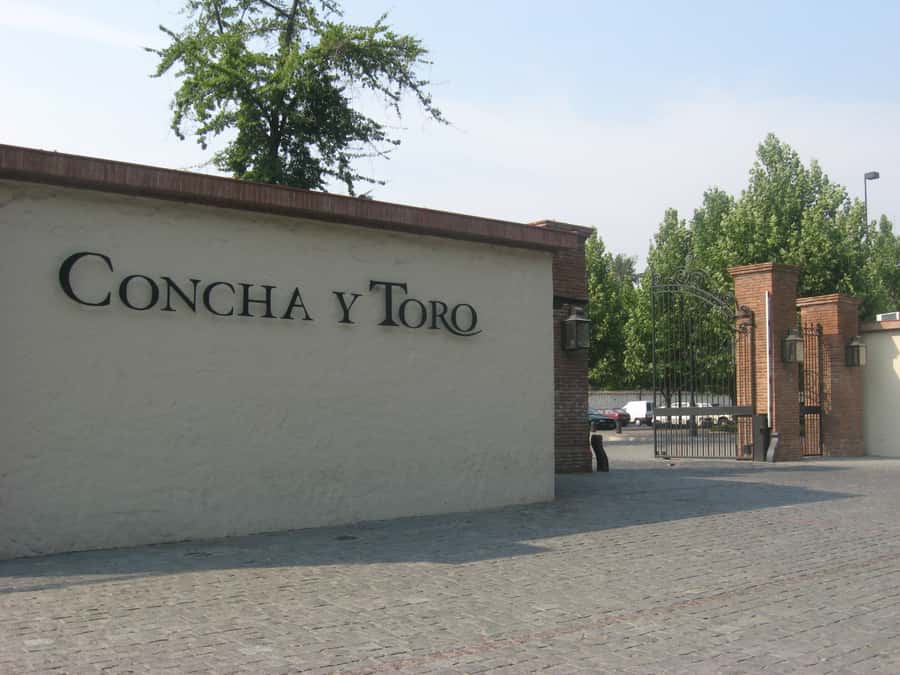 Santiago: Concha y Toro and Undurraga Vineyards Tour - Vineyard management, Cabernet Sauvignon, and the final tasting