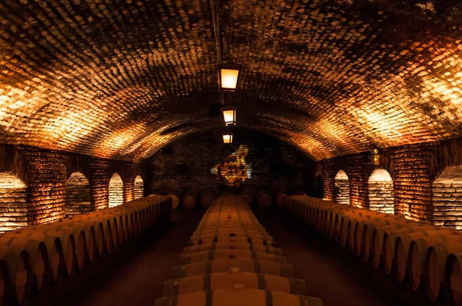 Santiago: Concha y Toro and Undurraga Vineyards Tour - Starting at Undurraga around 8:00 AM
