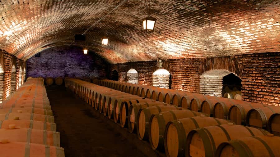 Santiago: Concha y Toro Vineyard Tour w/ Transfer & Tasting - From Santiago to the Pirque vineyards