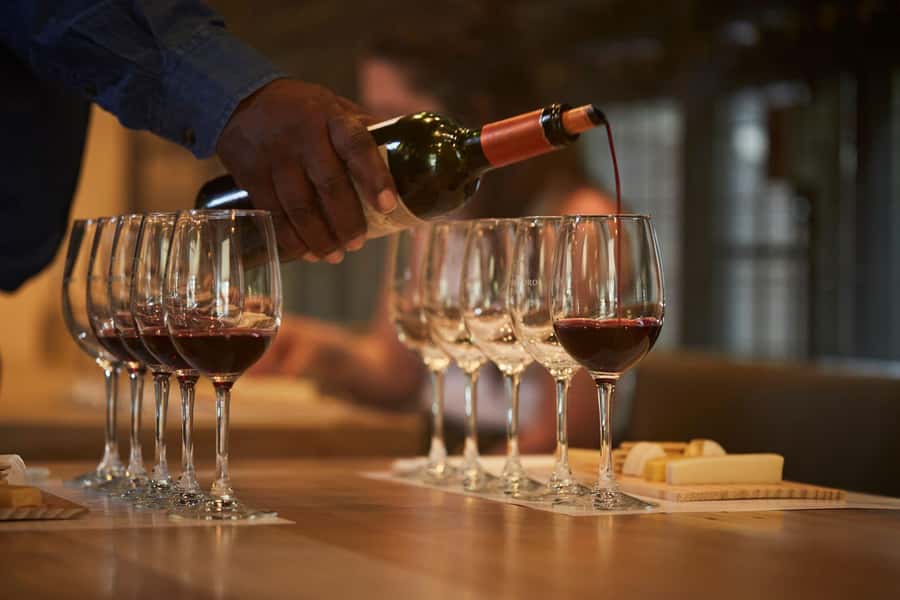 Santiago: Concha y Toro Vineyard Tour w/ Transfer & Tasting - What you learn among the vines