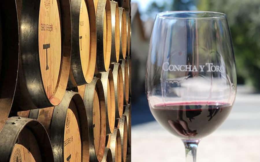 Santiago: Concha y Toro Vineyard Tour w/ Transfer & Tasting - The Casillero del Diablo story