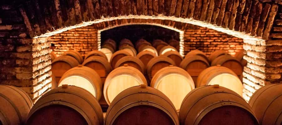 Santiago: Concha y Toro Winery 4–Hour Tour & Sommelier Class - The gardens and the family summer residence