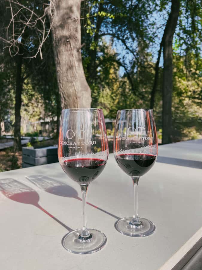 Santiago: Concha y Toro with transfer, tasting & gift cup - Who should book this winery visit