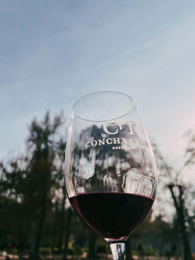 Santiago: Concha y Toro with transfer, tasting & gift cup - The gardens of the Concha y Toro family residence
