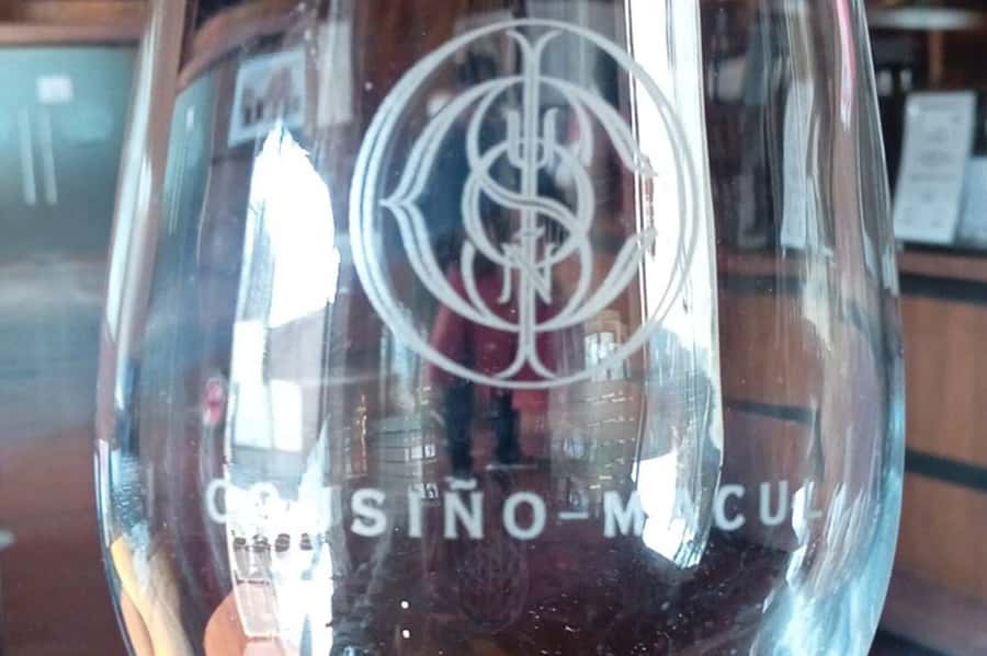 Santiago: Cousiño Macul Vineyard Premium Tasting Tour - Seven glasses make the tasting worthwhile