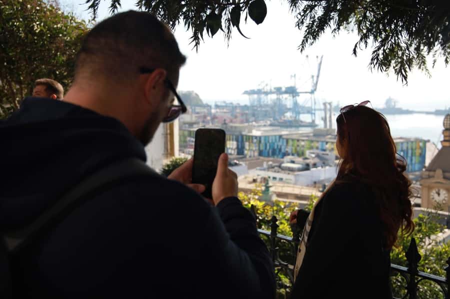 Santiago: Full day excursion in Viña del Mar and Valparaíso - What the van, guide, and languages add