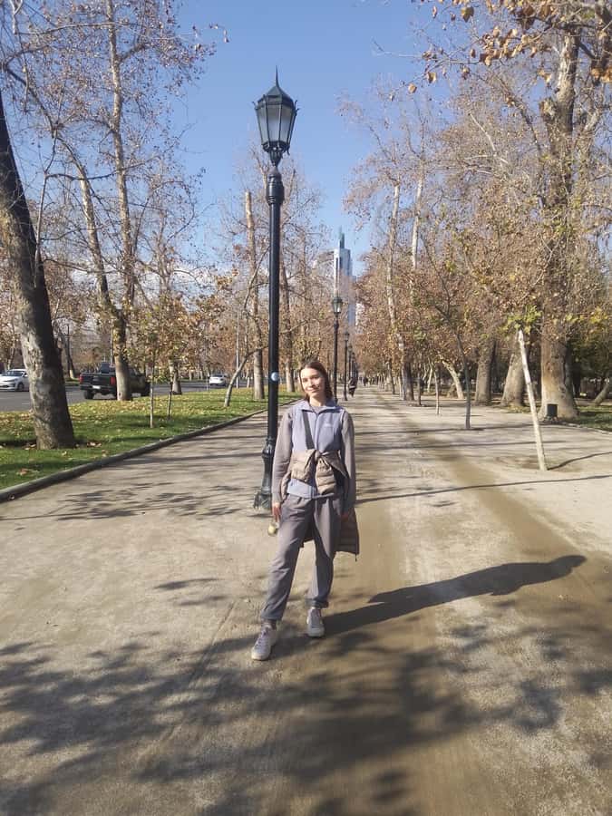 Santiago: Guided Walking Tour of the Historical Old Town - Lastarria and Forest Park slow the rhythm