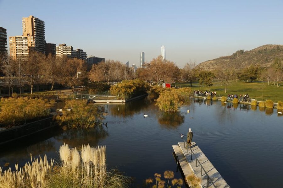 Santiago Half-Day Walking Tour with Hotel Pick up & Brunch - Fine Arts Museum and Parque Forestal