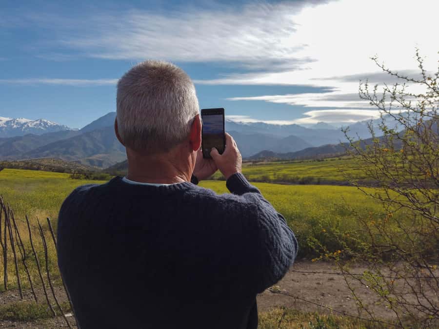 Santiago: Inca Lagoon Tour with Local Vineyard and Tasting - Llamas on the way back