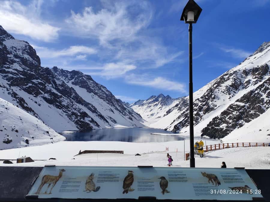 Santiago: Inca Lagoon Tour with Local Vineyard and Tasting - Why this Andes day trip works