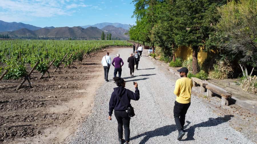 Santiago: Inca Lagoon Tour with Local Vineyard and Tasting - Los Caracoles and the 29 bends