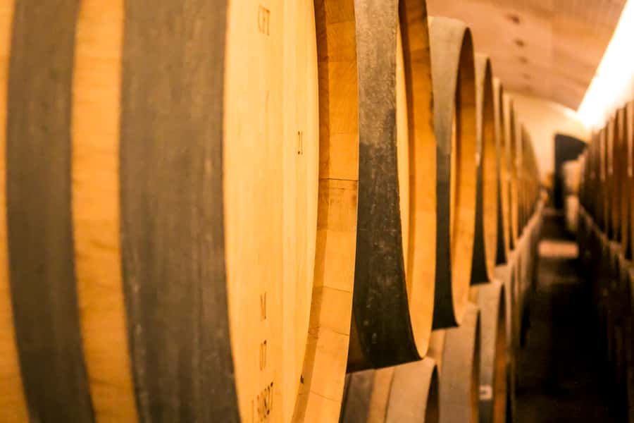 Santiago: Main Chilean Wineries Private Half-Day Tours - Why a private half-day format works