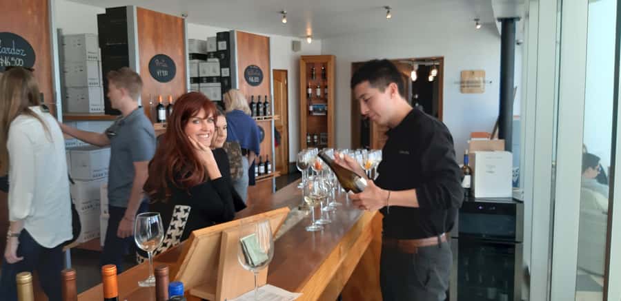 Santiago: Main Chilean Wineries Private Half-Day Tours - How much value do you get for $290?
